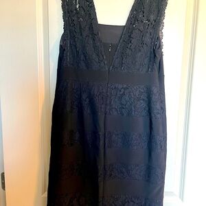 Beutifull Adrianna Papell dress